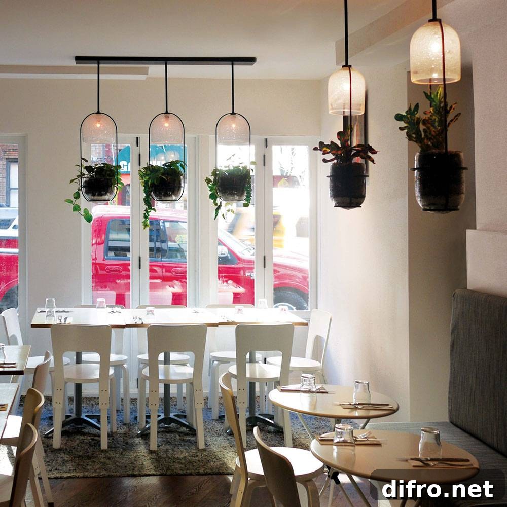 Growlight fitting into many decor styles