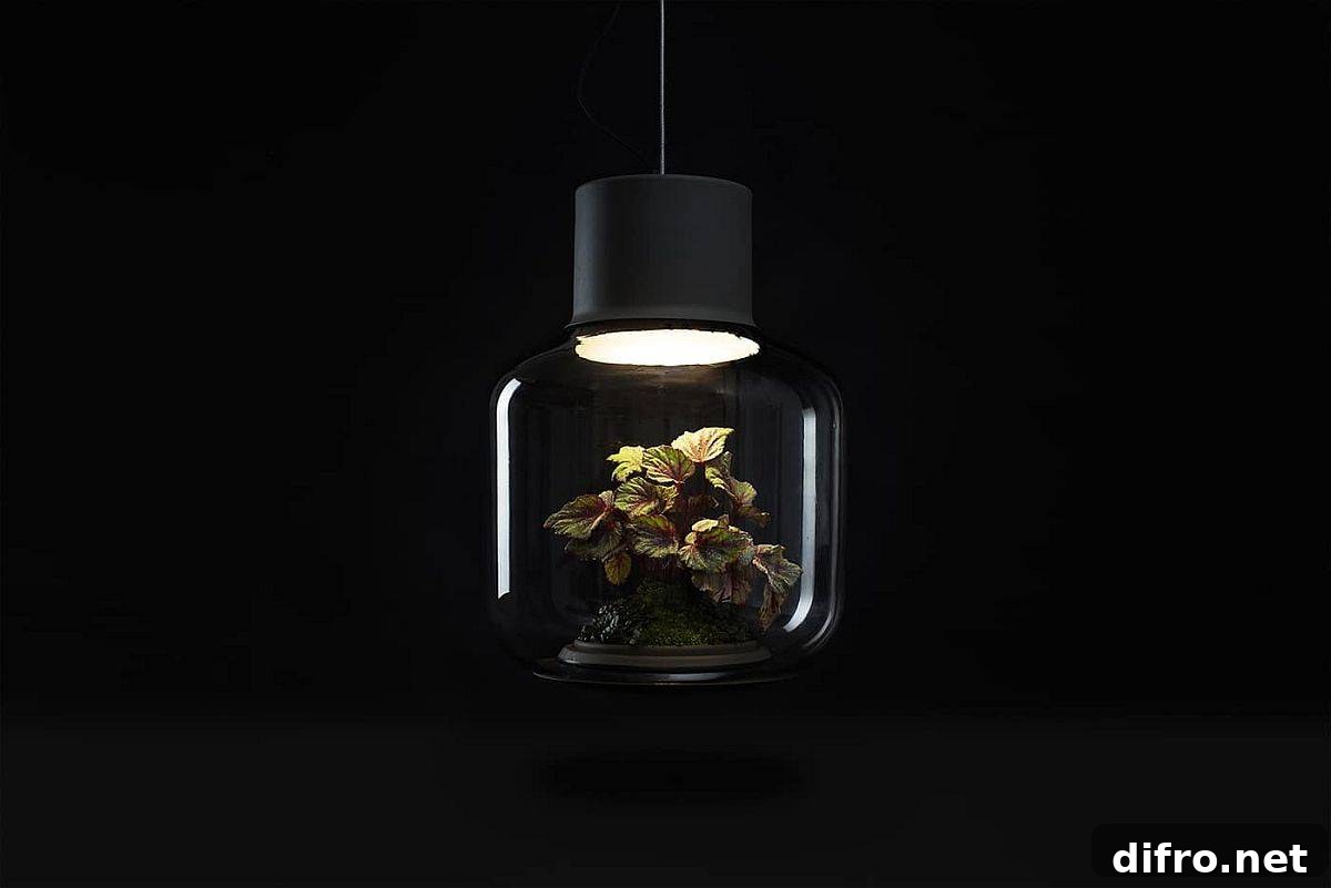 Hermetically sealed Mygdal plant light