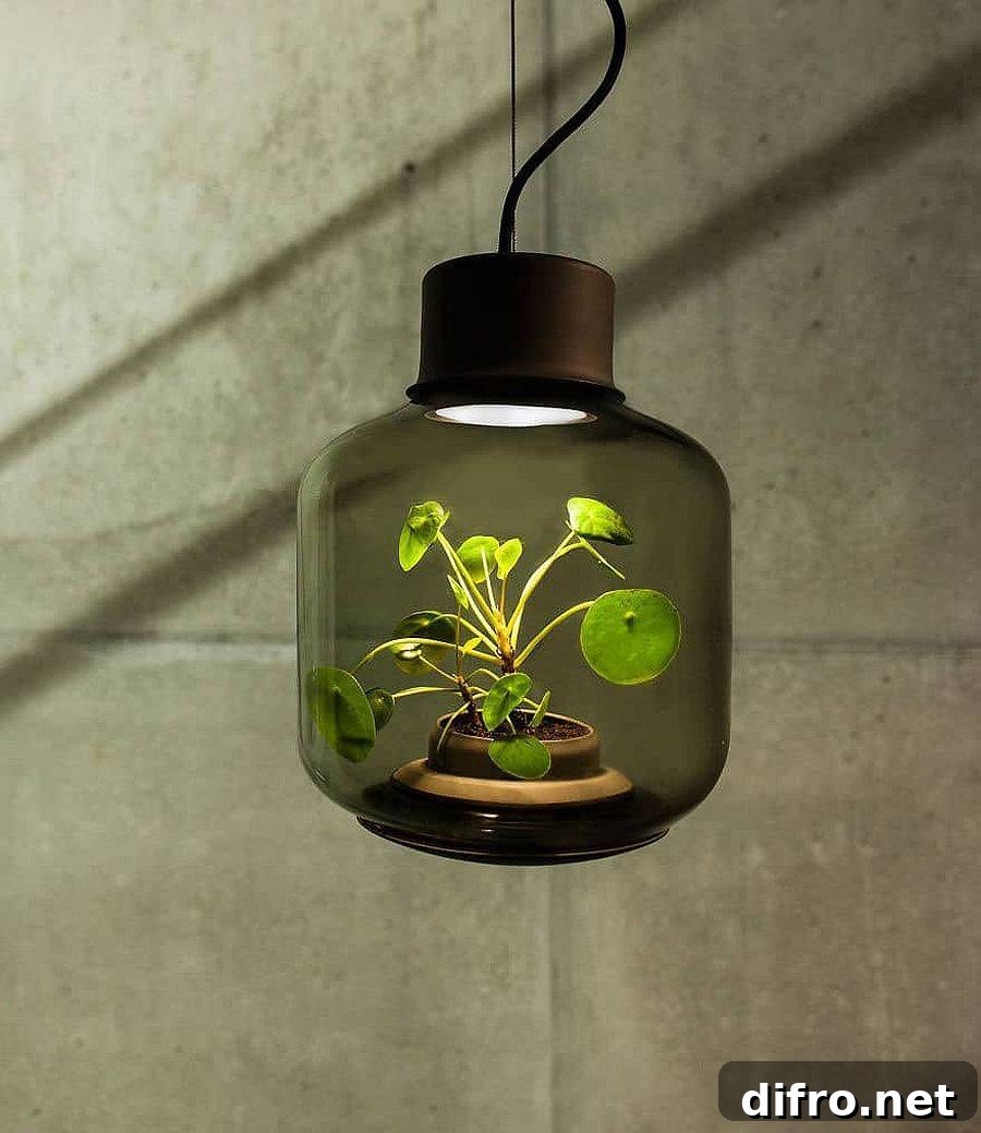 Close-up of Mygdal plantlight