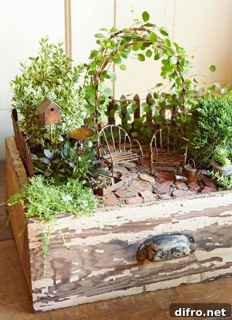 Mini garden using an old drawer