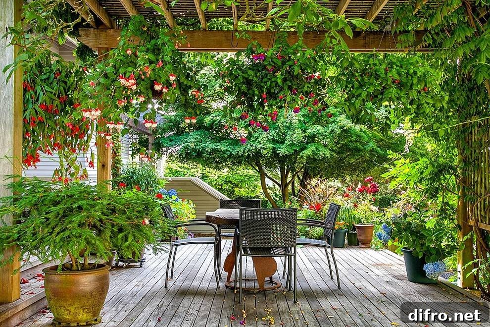 Climbing Flowers on a Pergola