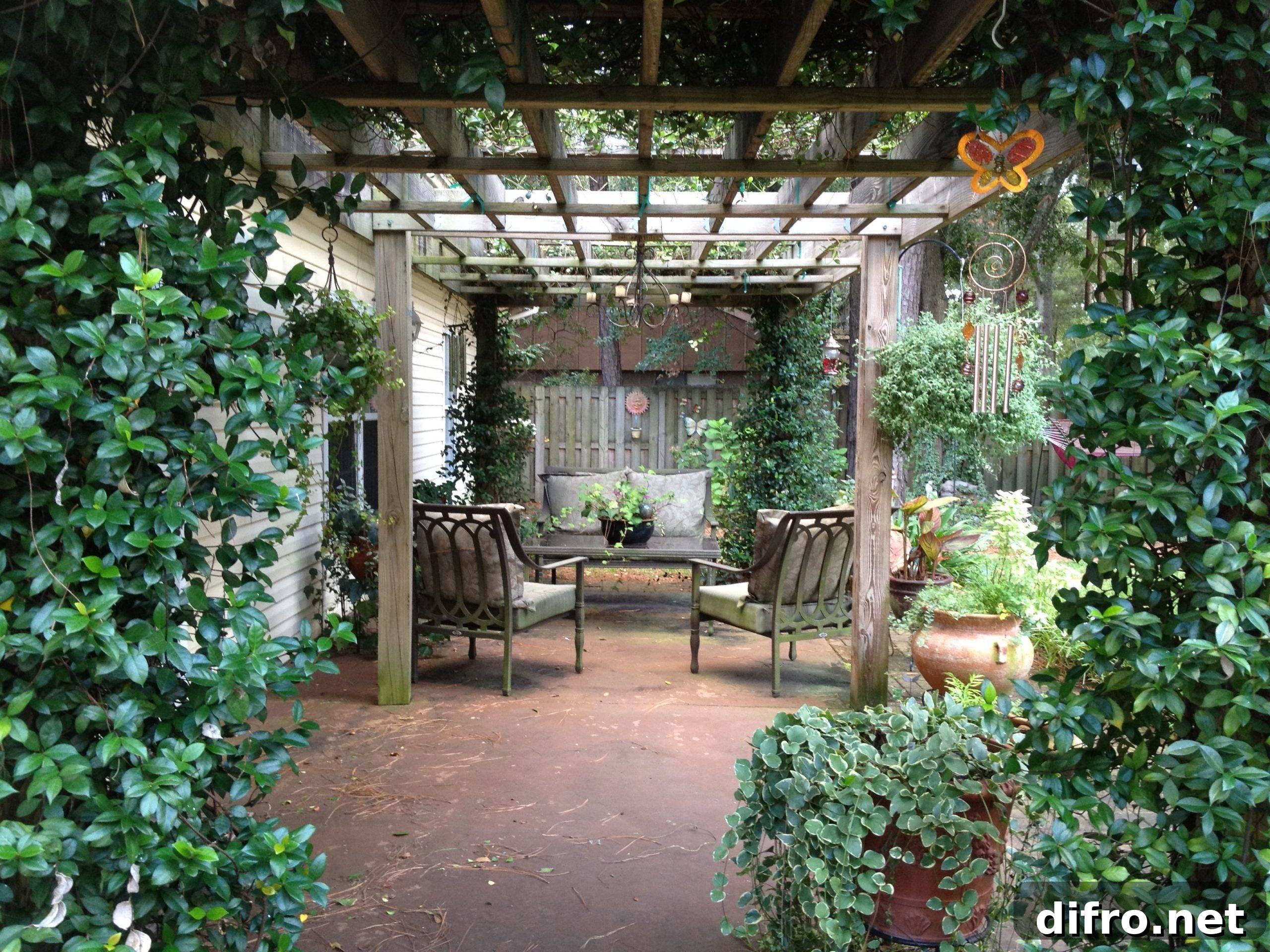 Climbing Flowers on Pergola