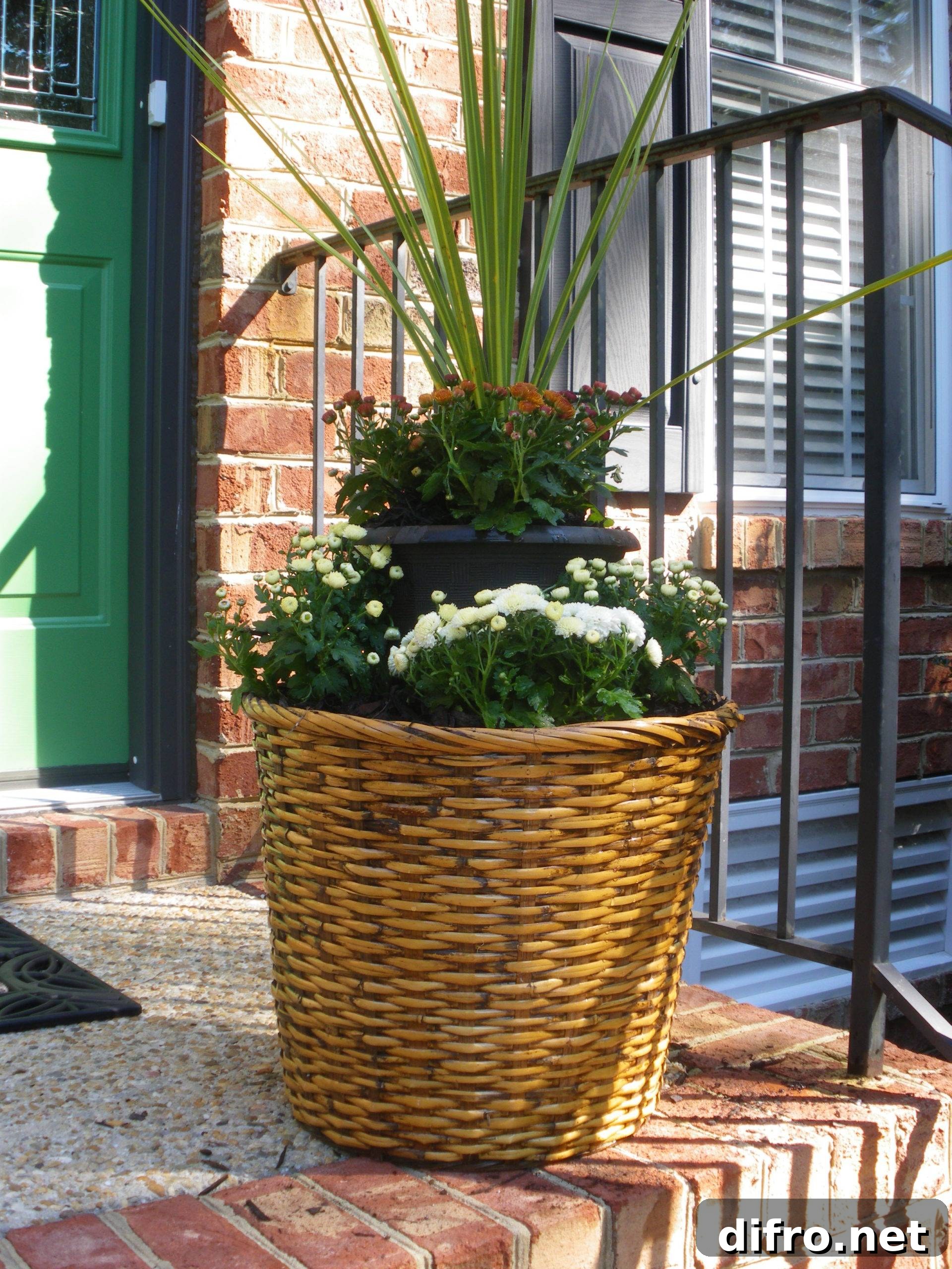 Wicker Basket Flower Pot