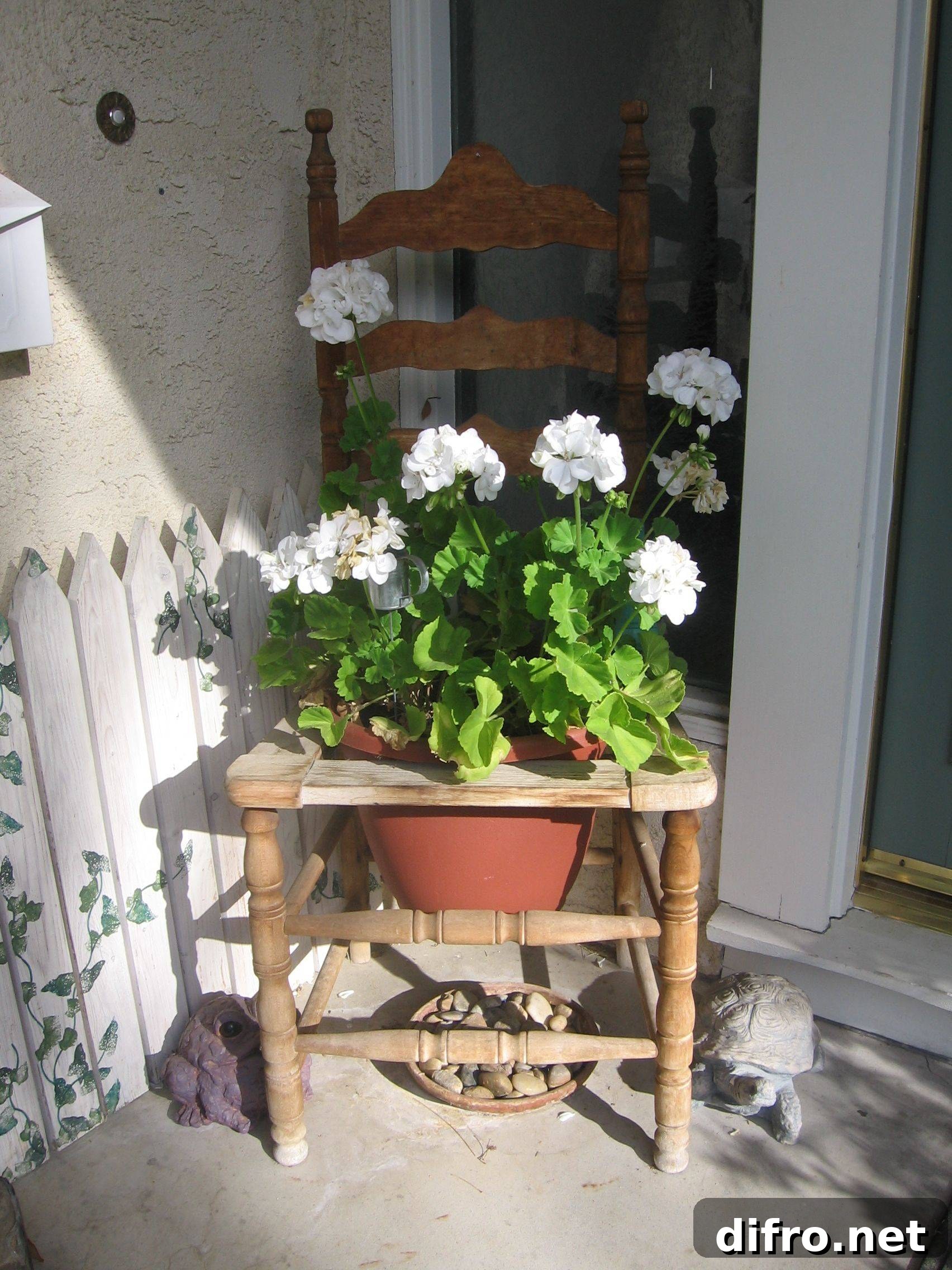 Antique Chair Flower Pot