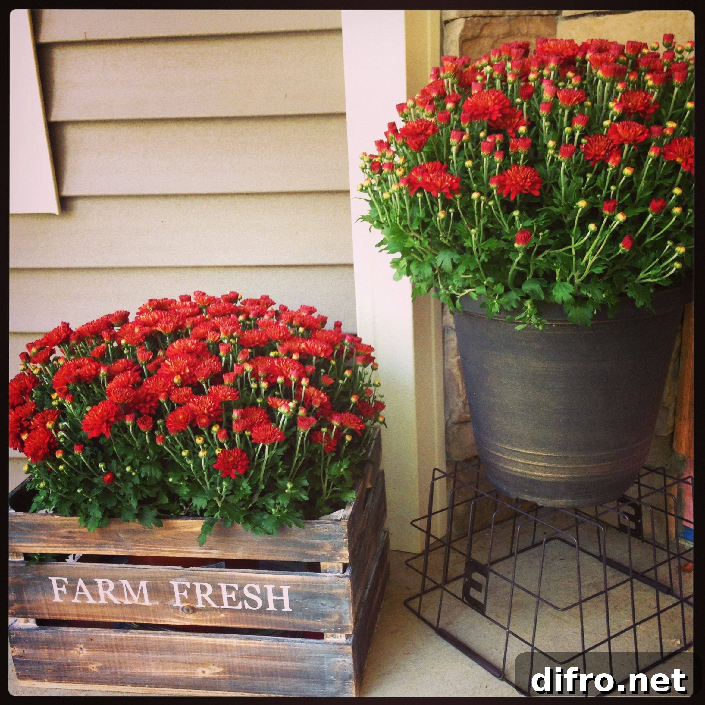 Antique Crate Planter