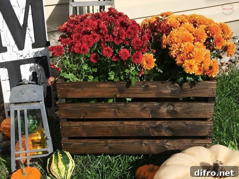 Antique Crate Flower Pot