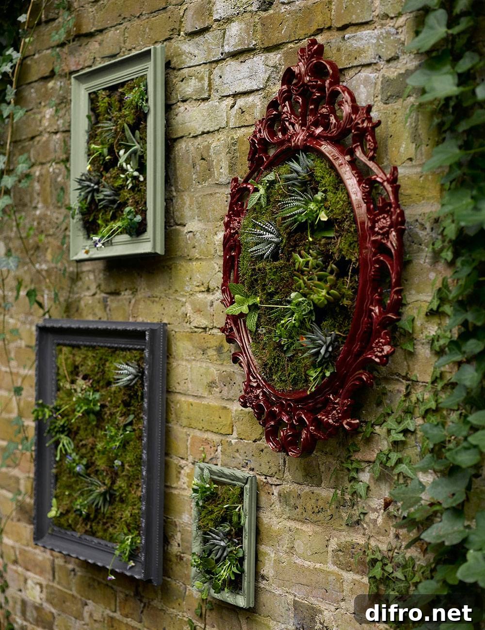 Plant Picture Frame