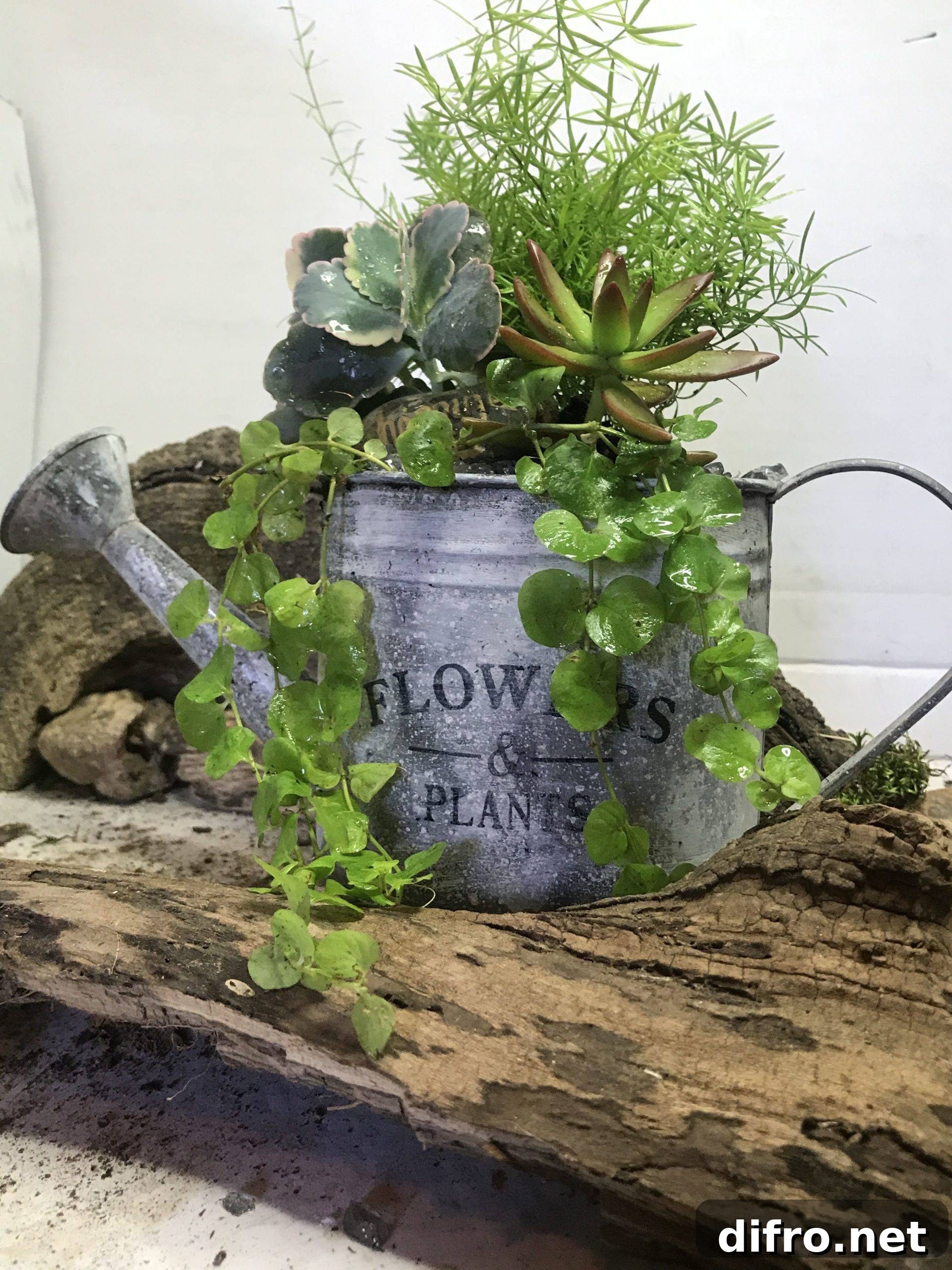 Upcycled Watering Can