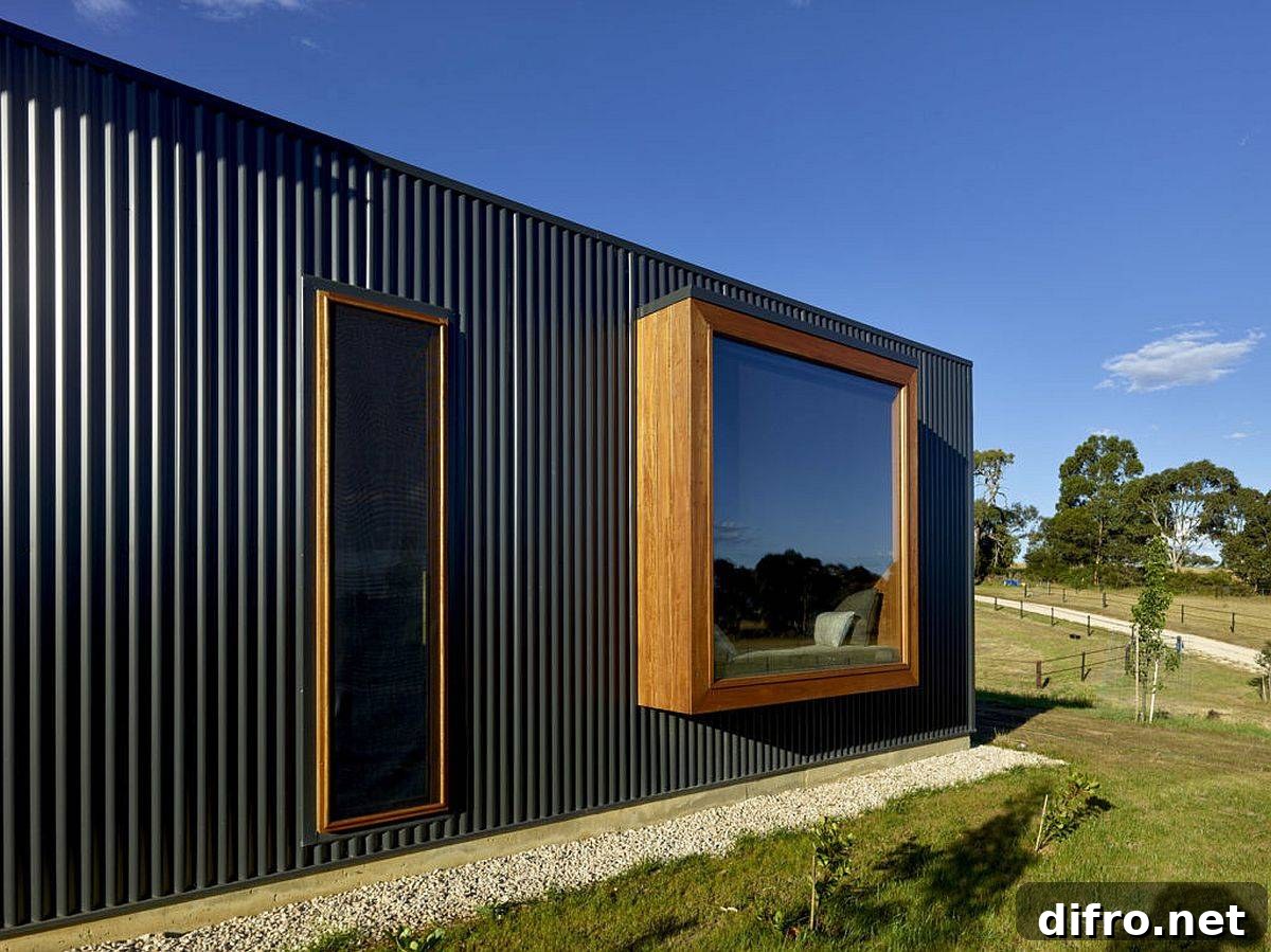 Beautifully framed windows bring light and views into the house