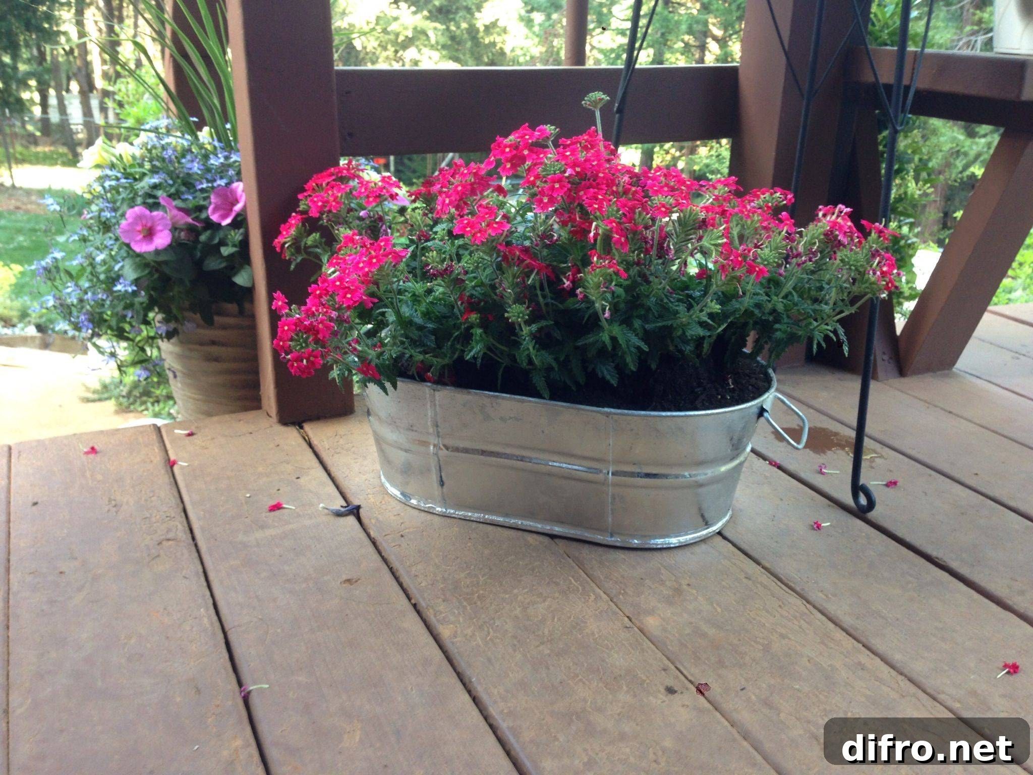 Repurposed Metal Bucket Flower Pot