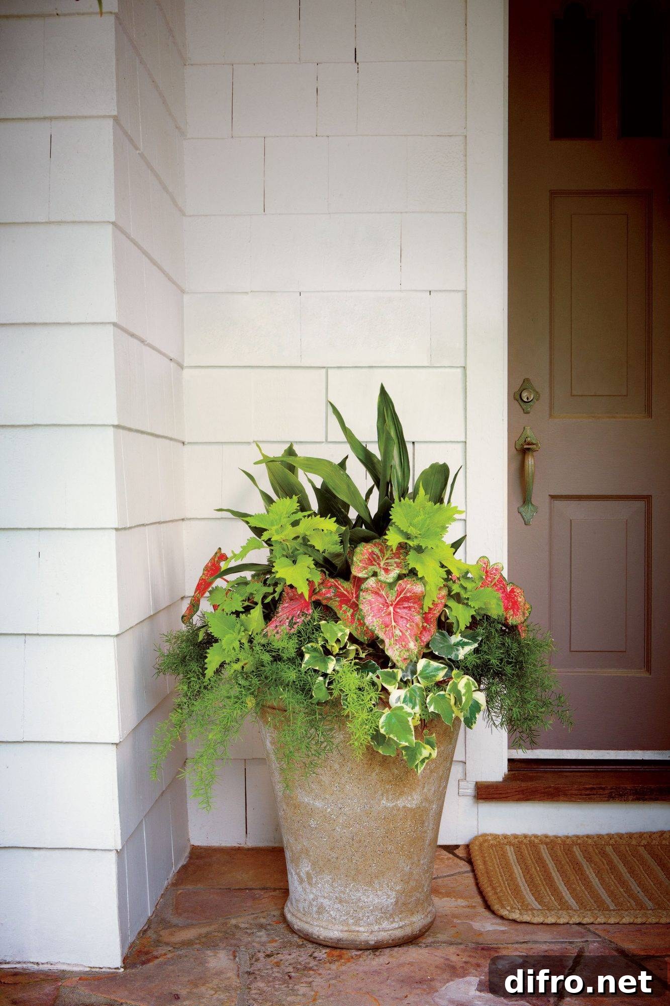 Rustic Plant Pot