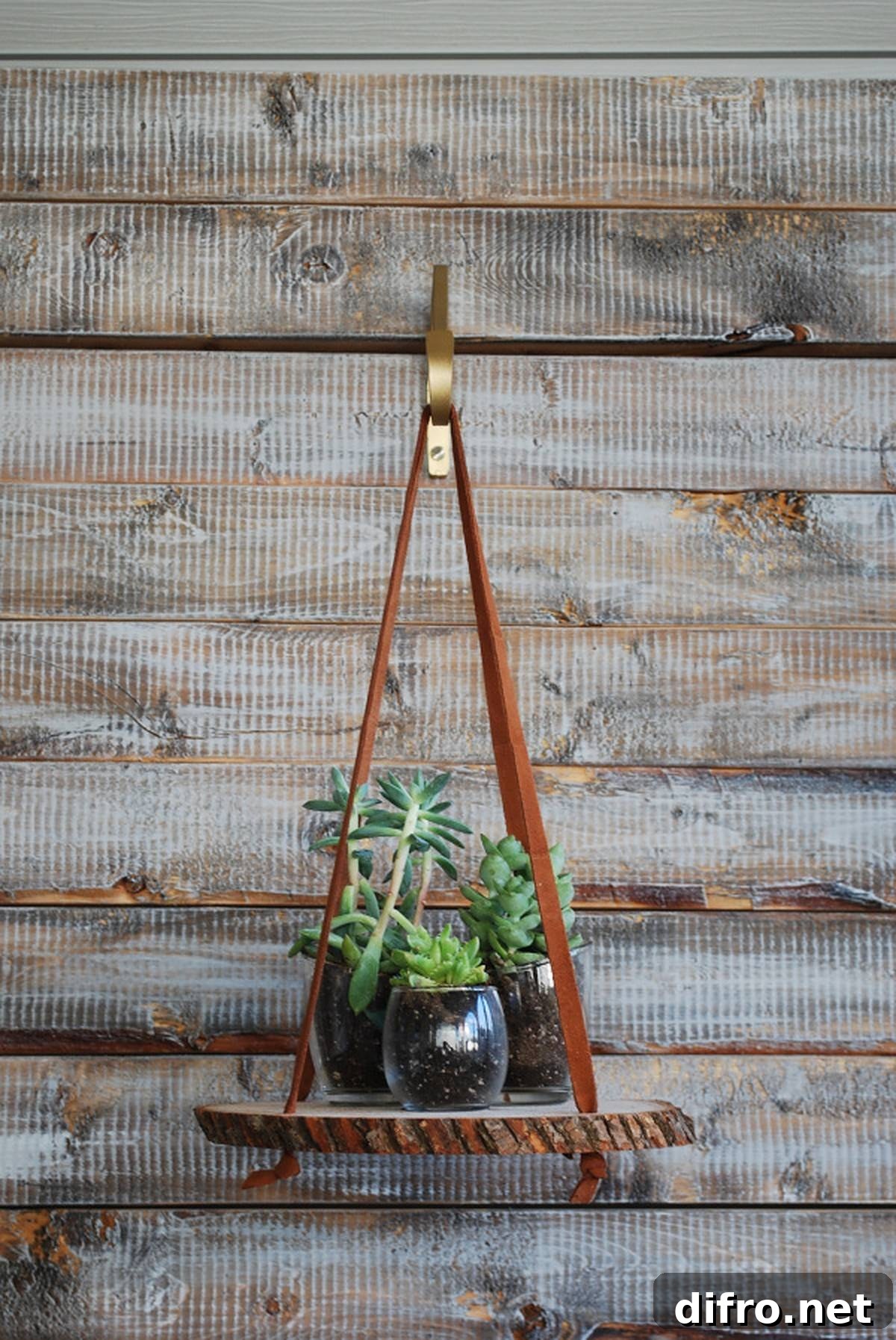 Three potted plants in glass hanging on wood slice