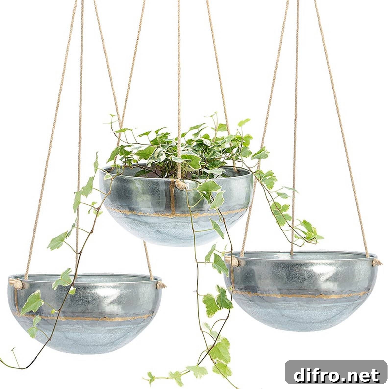 Three hanging planters with green plants