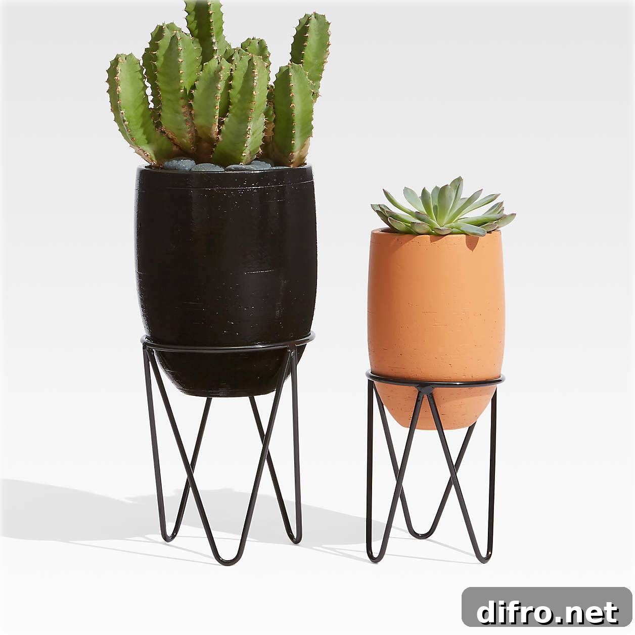 Succulents in black and brown pots