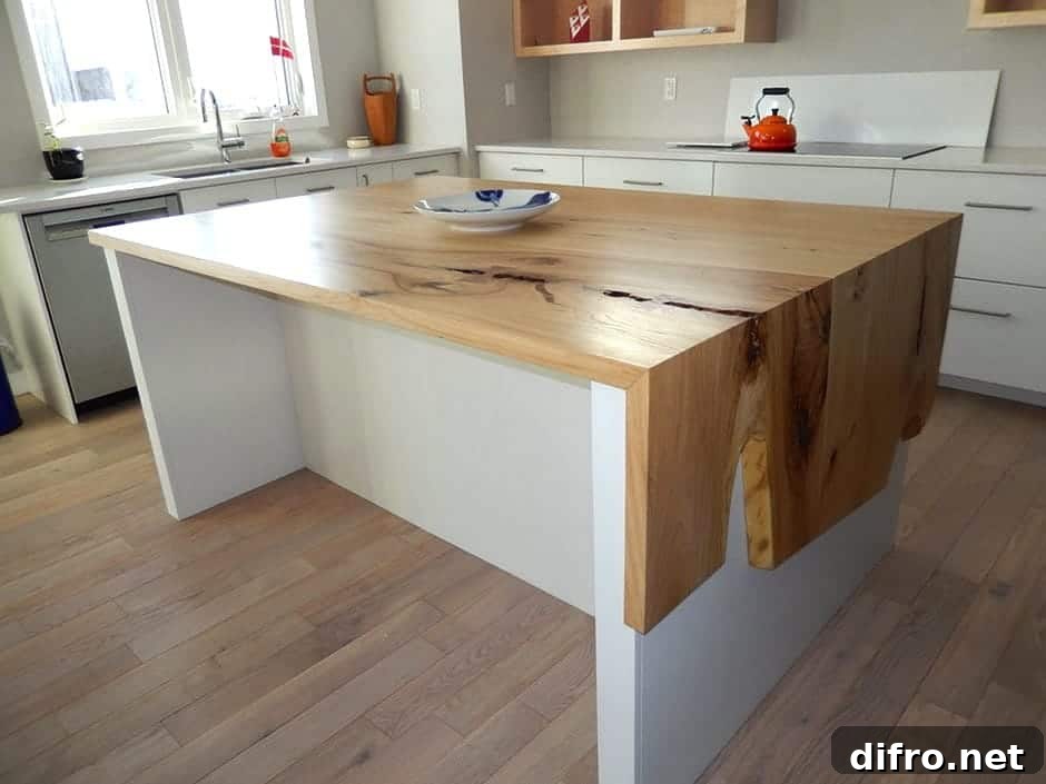 Single plate on top of wood kitchen counter