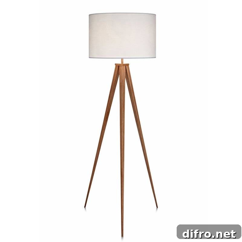 Cardone 60 inches LED Tripod Floor Lamp