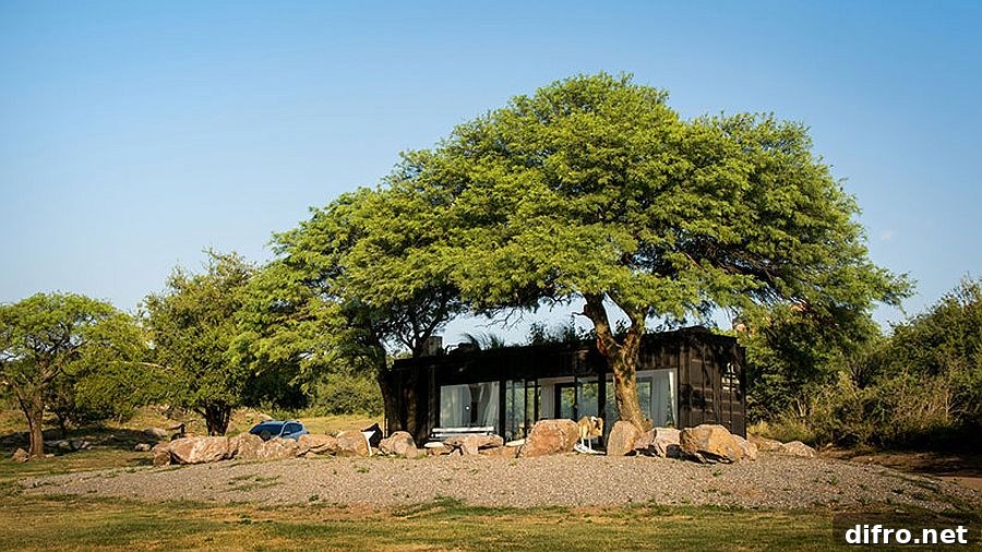 Two large trees provide natural shade