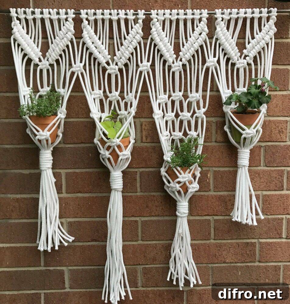 Hanging Plants.