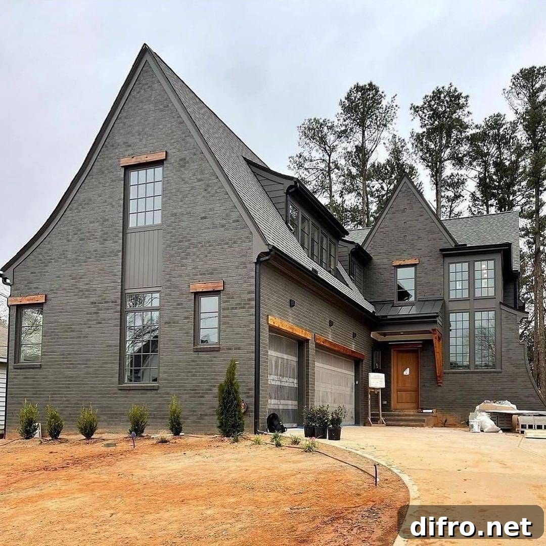Two-door garage black house