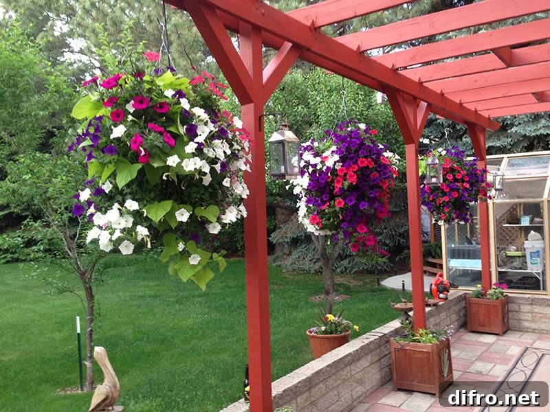 Hanging Planters on Pergola