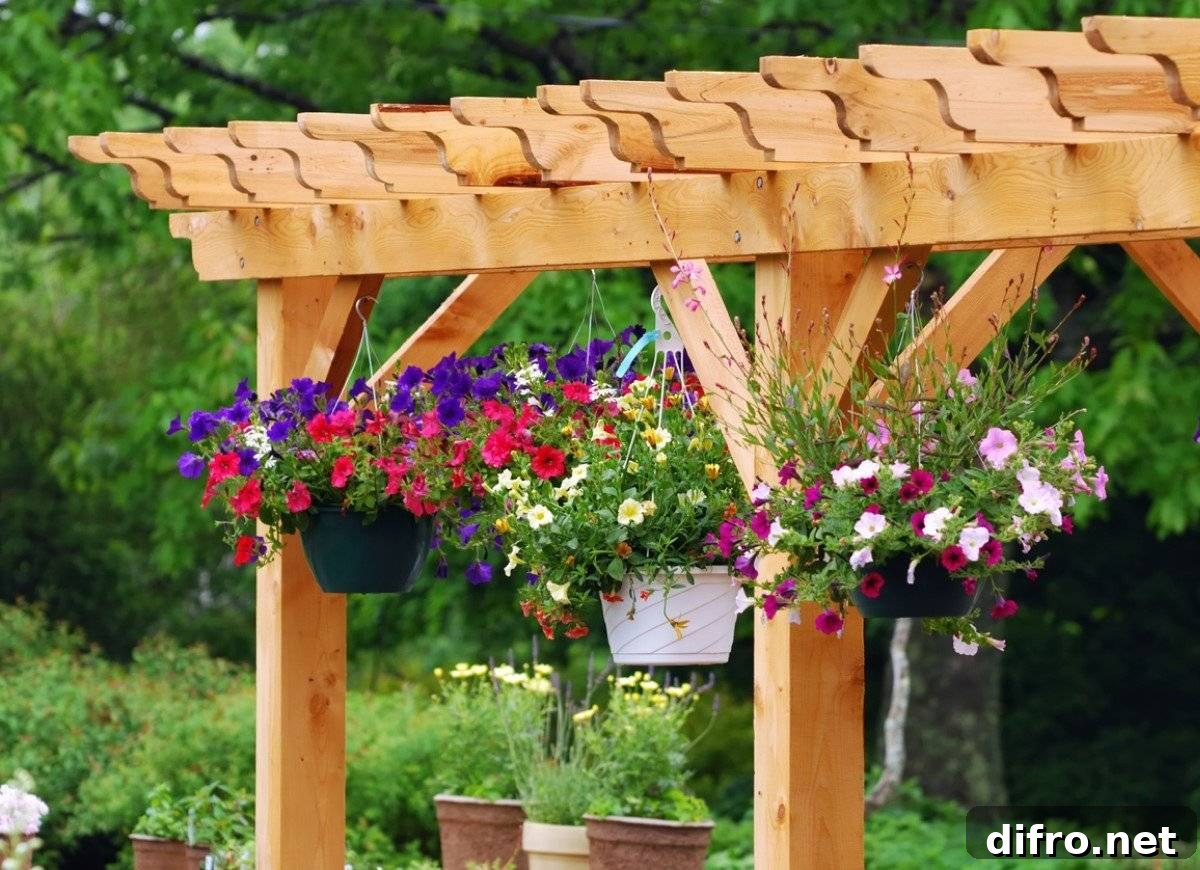 Hanging Planters on Pergola.