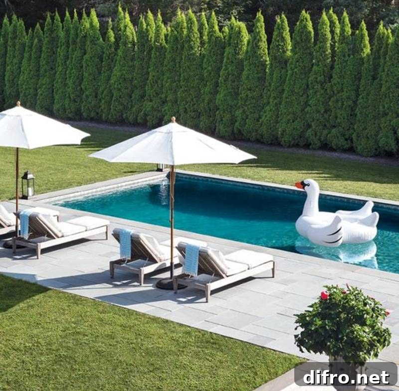 swan floating in inground pool
