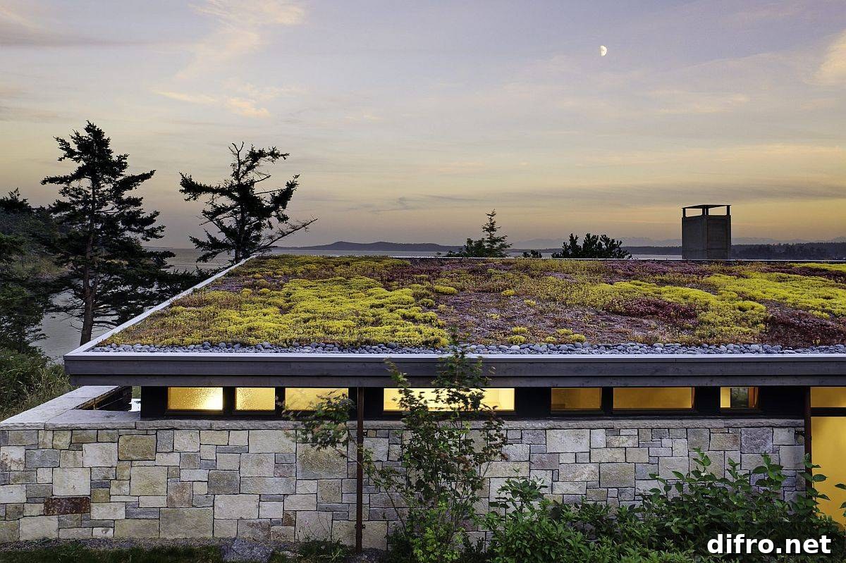 Green roof provides insulation and cooling