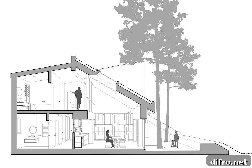 Sectional plan of eco-friendly Hill House with sloped green roof