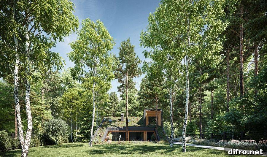 Living roof blending with landscape