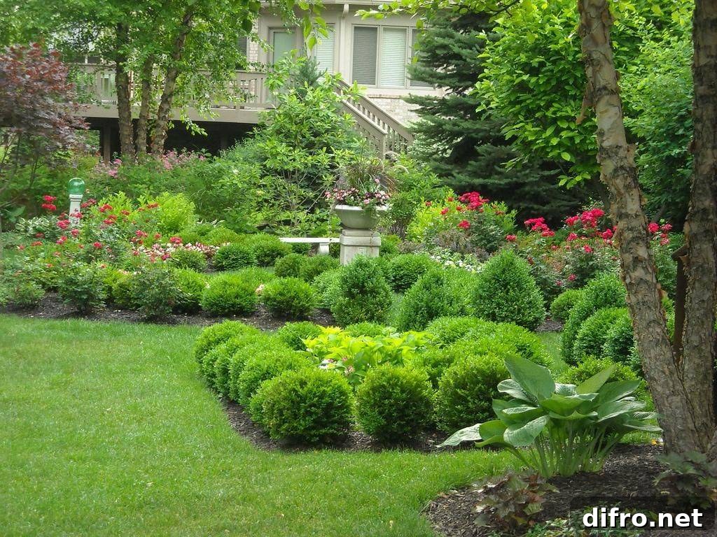 plants, trees, and grass in yard