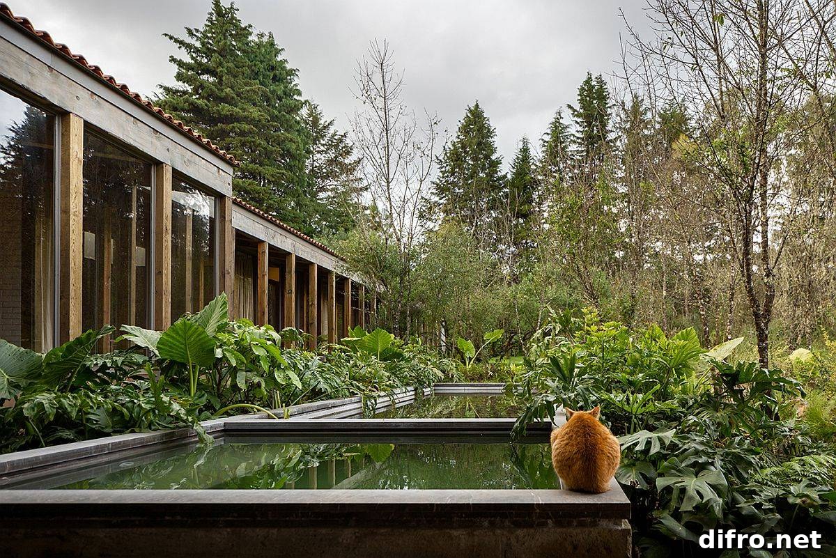 Reflective pools, Jacuzzi and natural forest around the Mexican home make it a visual treat