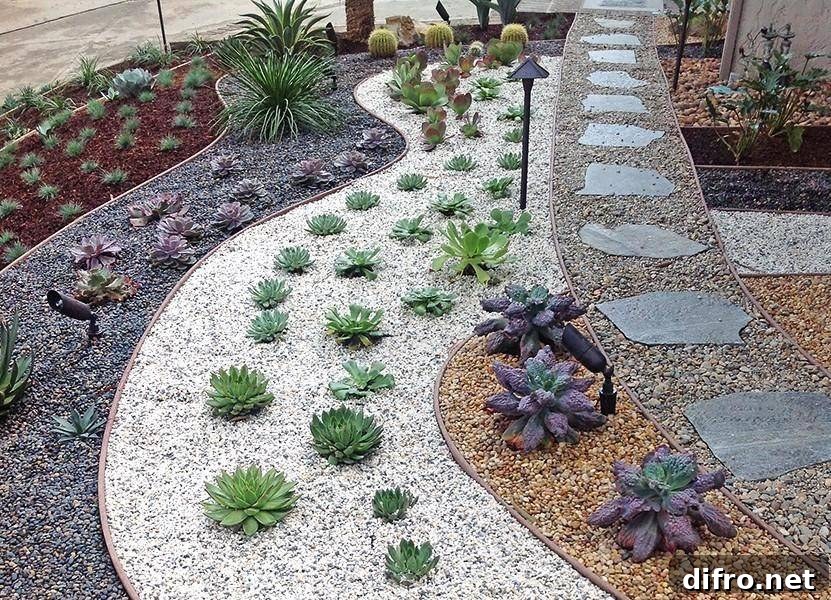 drought-resistant landscaped yard