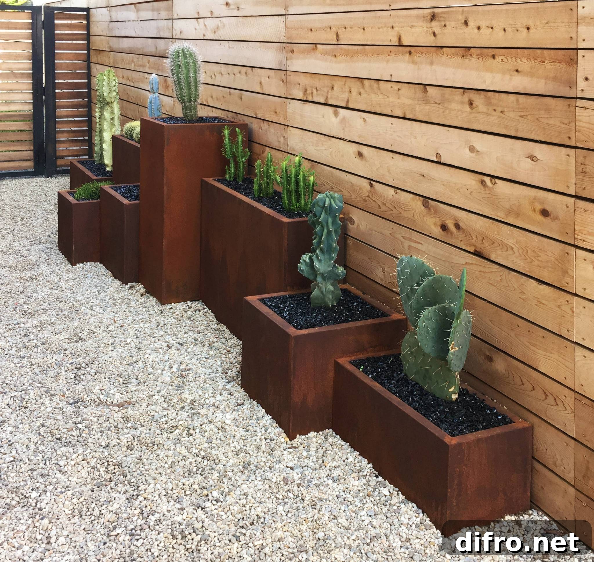 cacti in front of slat wooden fence