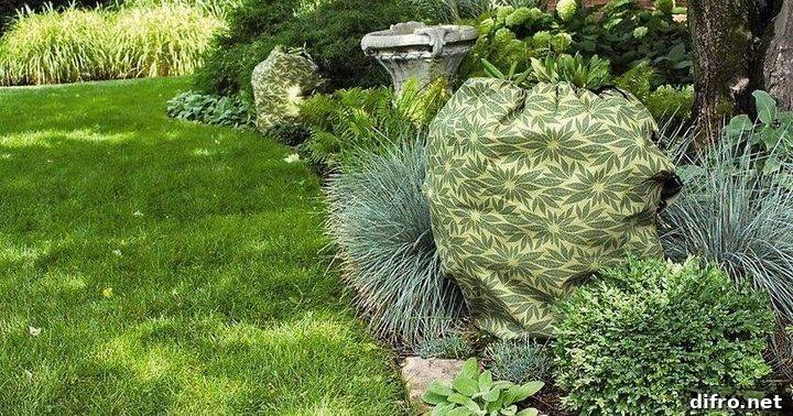 Winter protection for garden plants