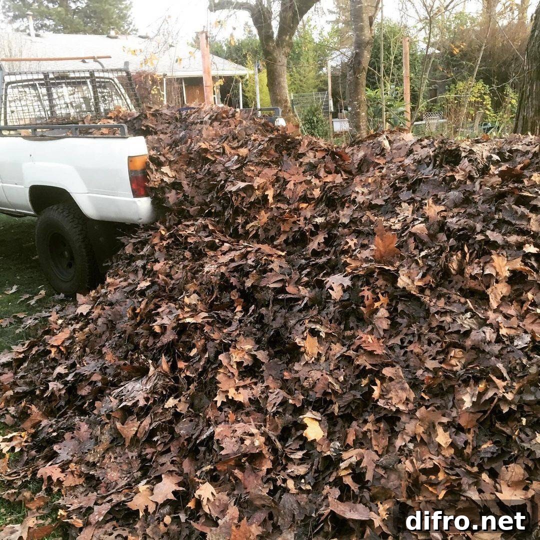 Clearing garden debris in fall