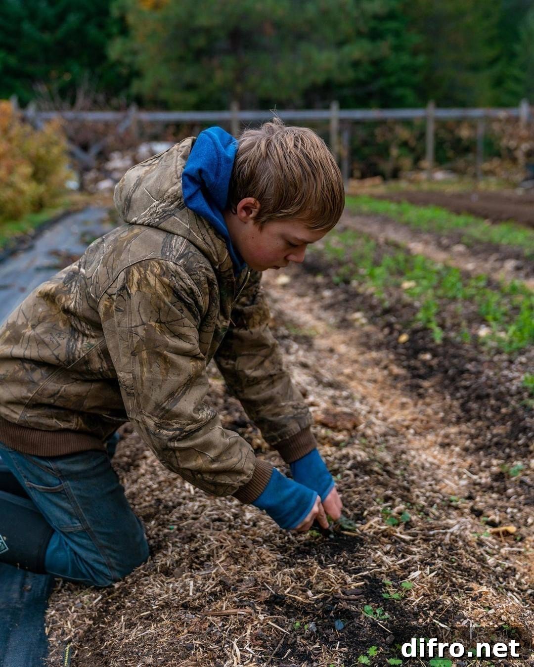 Removing weeds in the fall