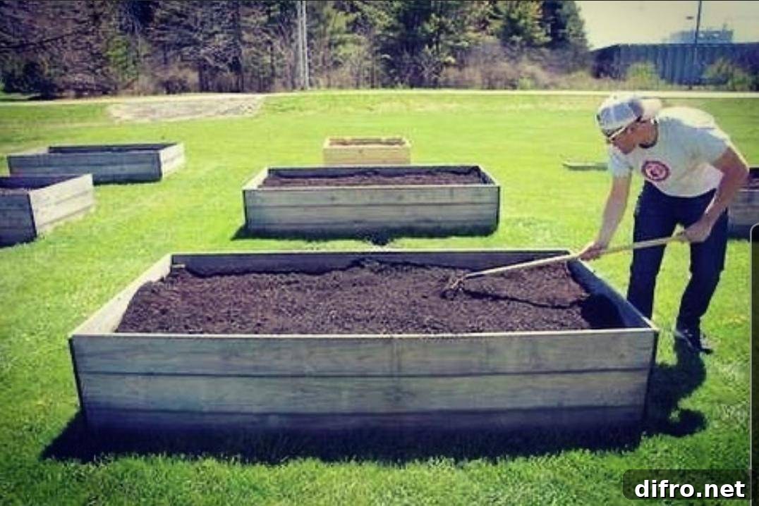 Adding compost to garden soil