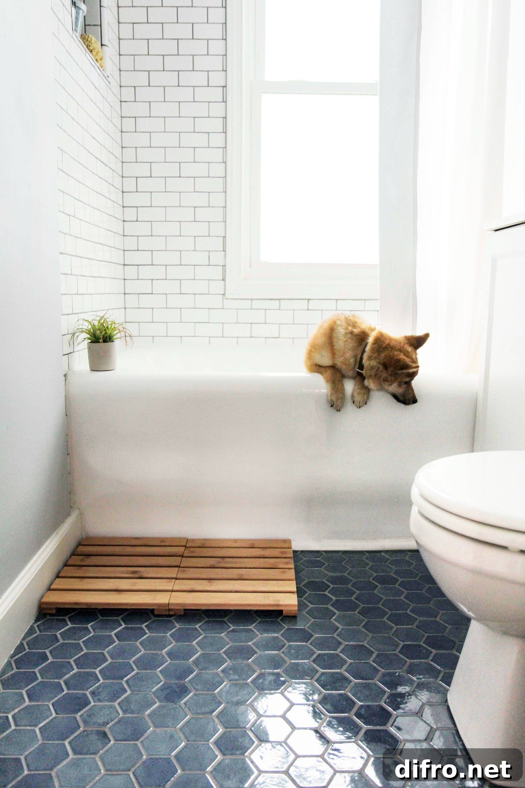 Subway wall tiles with hexagonal floor tiles