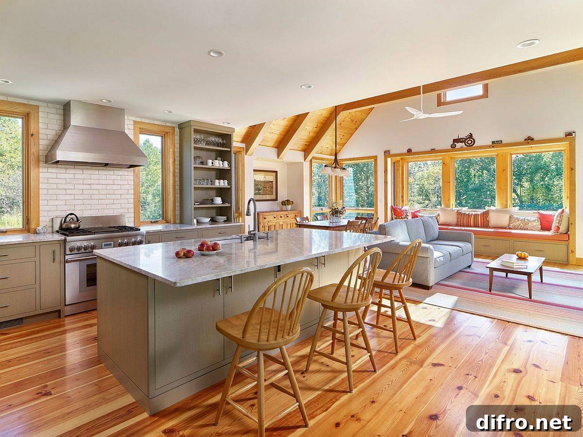 New modern kitchen and adjacent family area