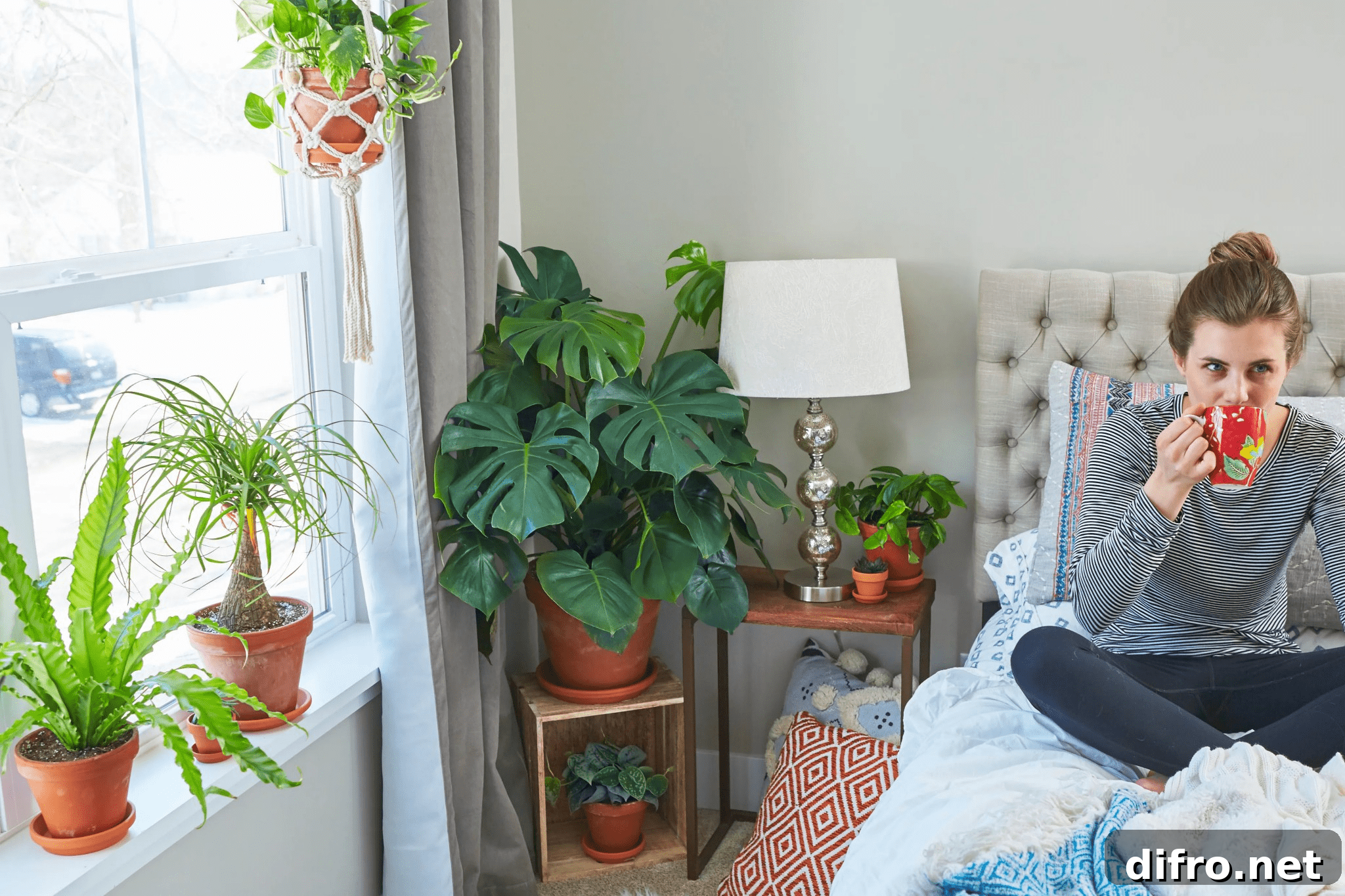 Dorm Room Plants