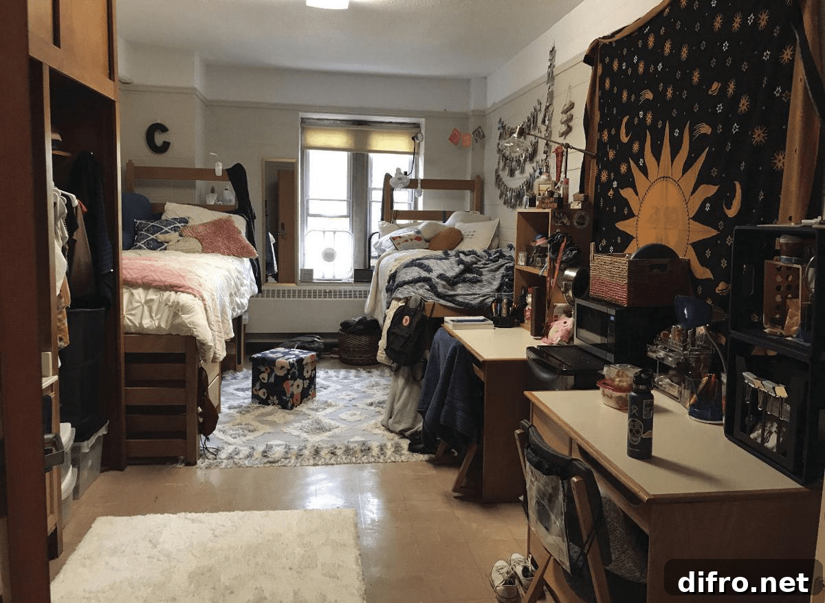 Dorm Room Decor EssentialsDorm Room Decor Essentials
