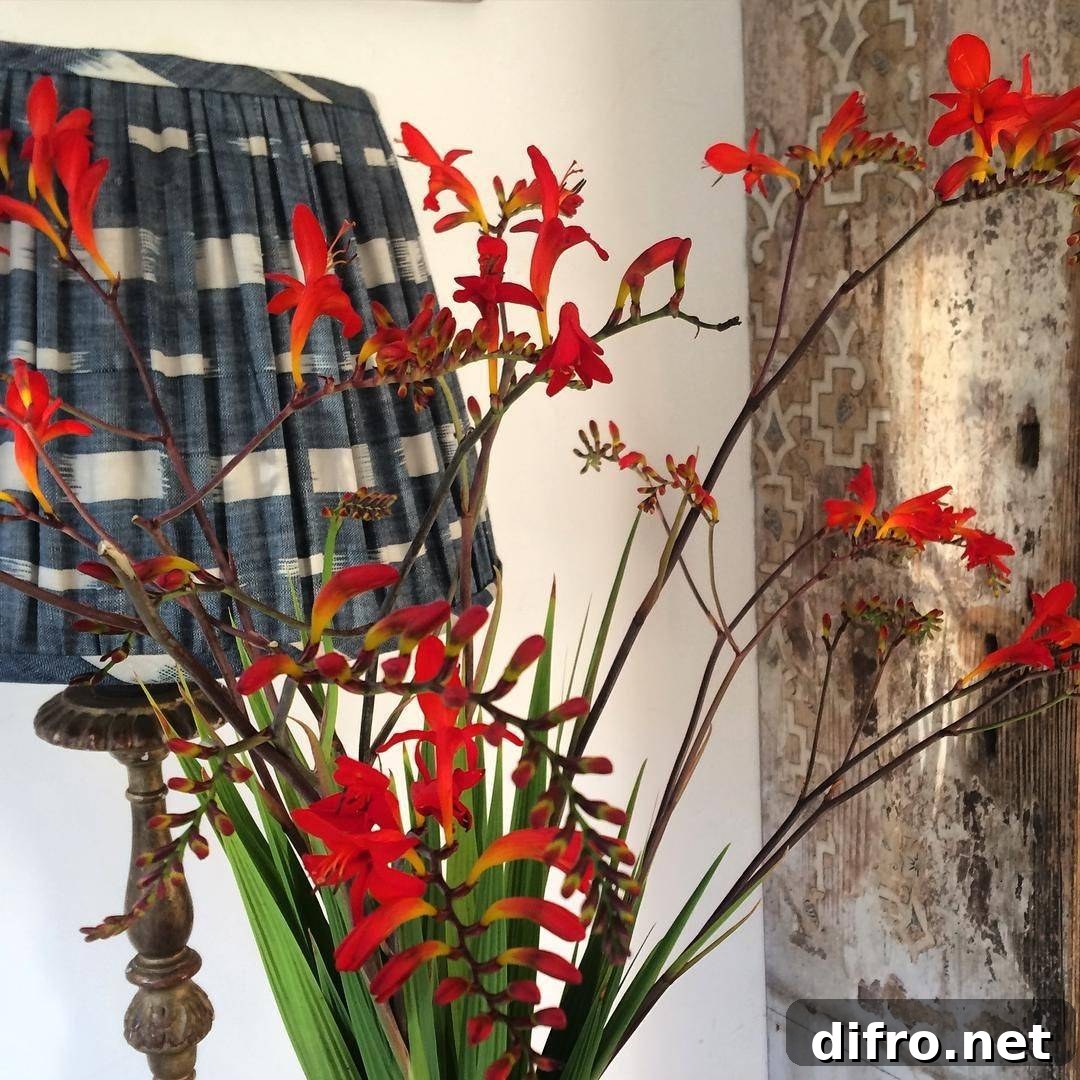 Tips for Choosing the Perfect Lamp Shade for Any Room