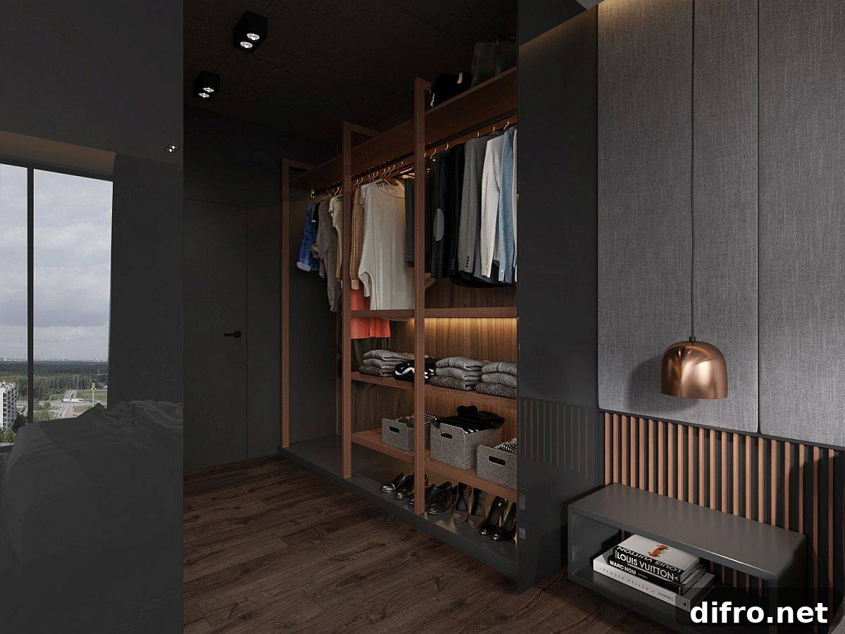 Modern closet with lighting and smart organization