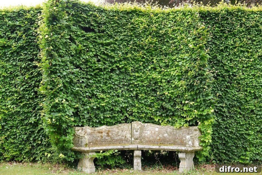Built-in Bench Seating inspiration