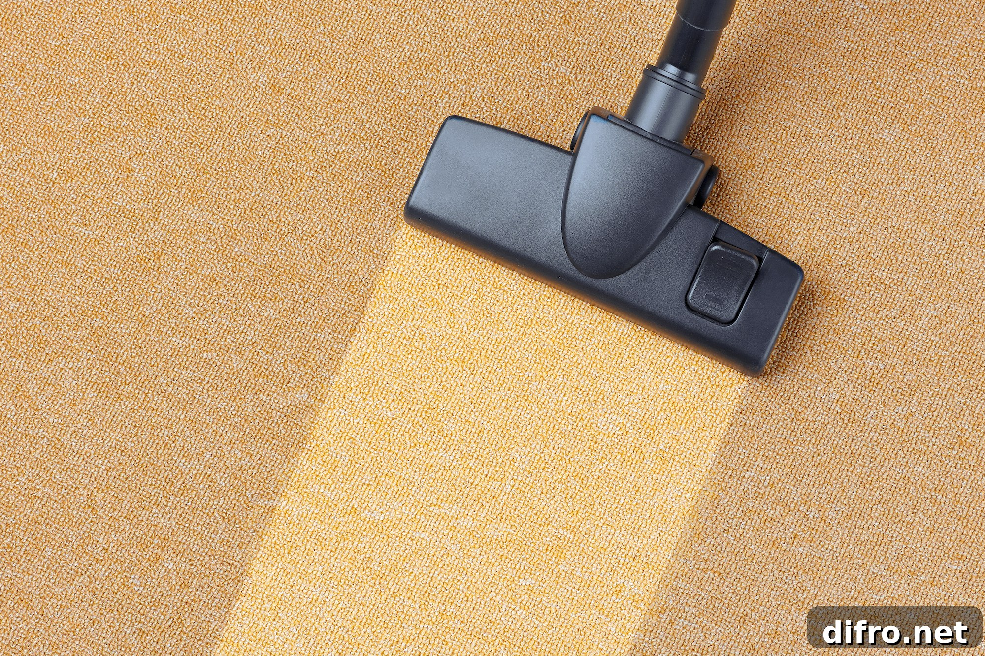 Why Carpet Adds Comfort, Warmth, and Style to Your Home 9 The Benefits of Having Carpet in Your Home