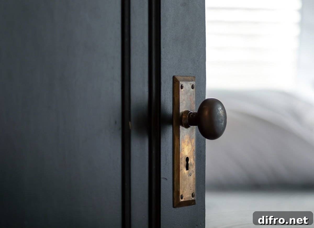 Black door complementing room design