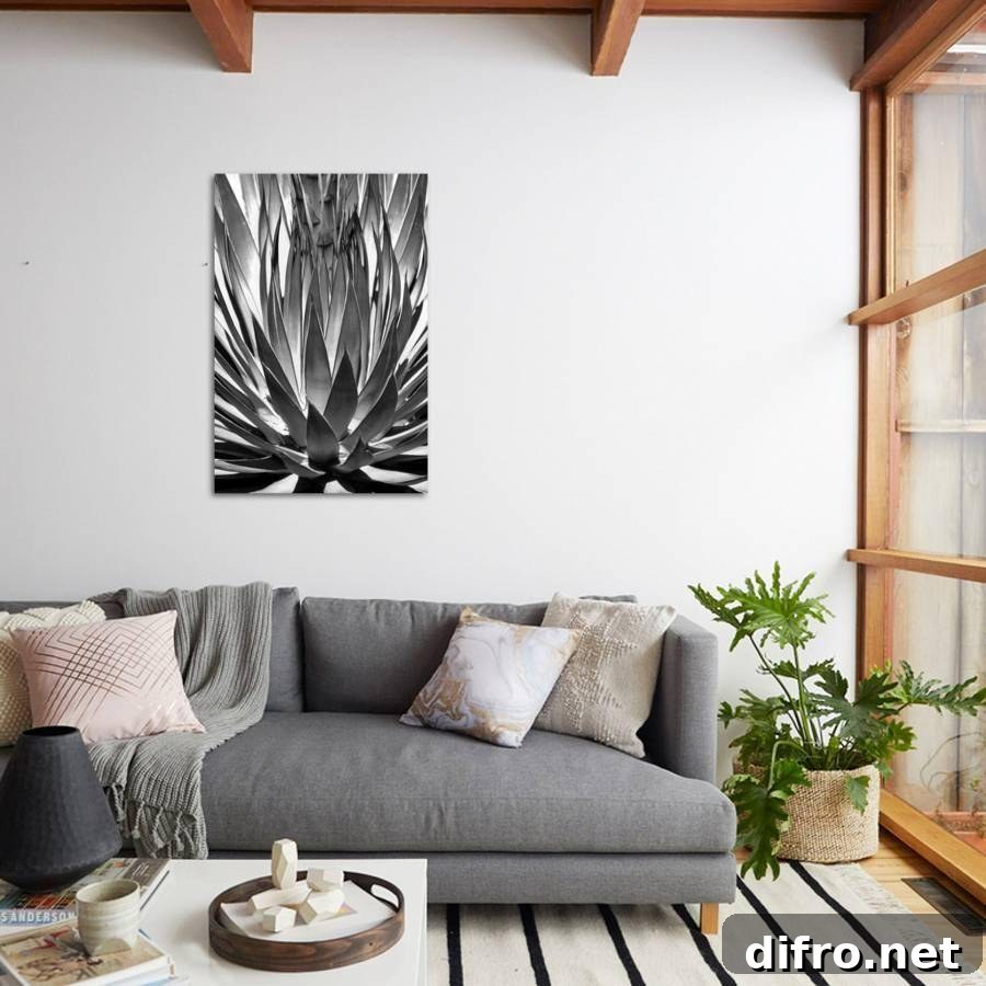 Black and white agave photograph