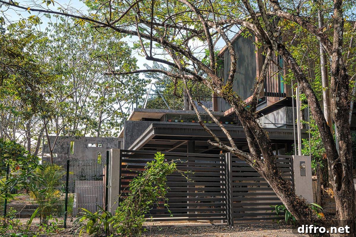 Greenery around the home