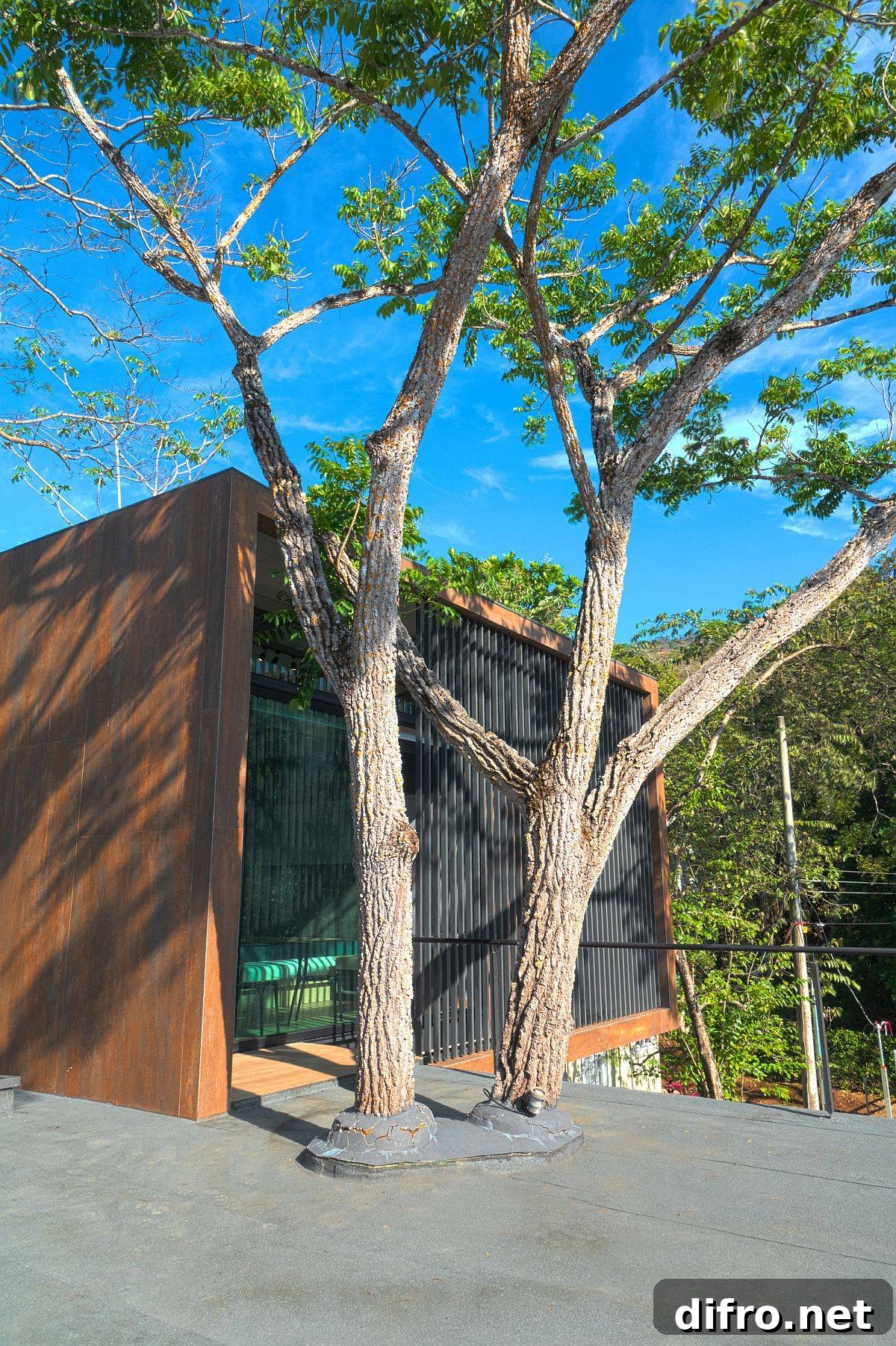 Sustainable design allowing greenery to coexist with structure