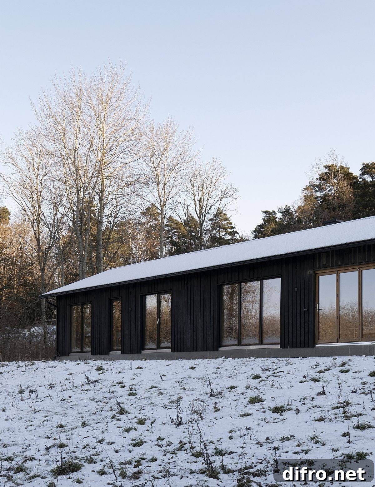 Modern single-family residence with black wooden exterior